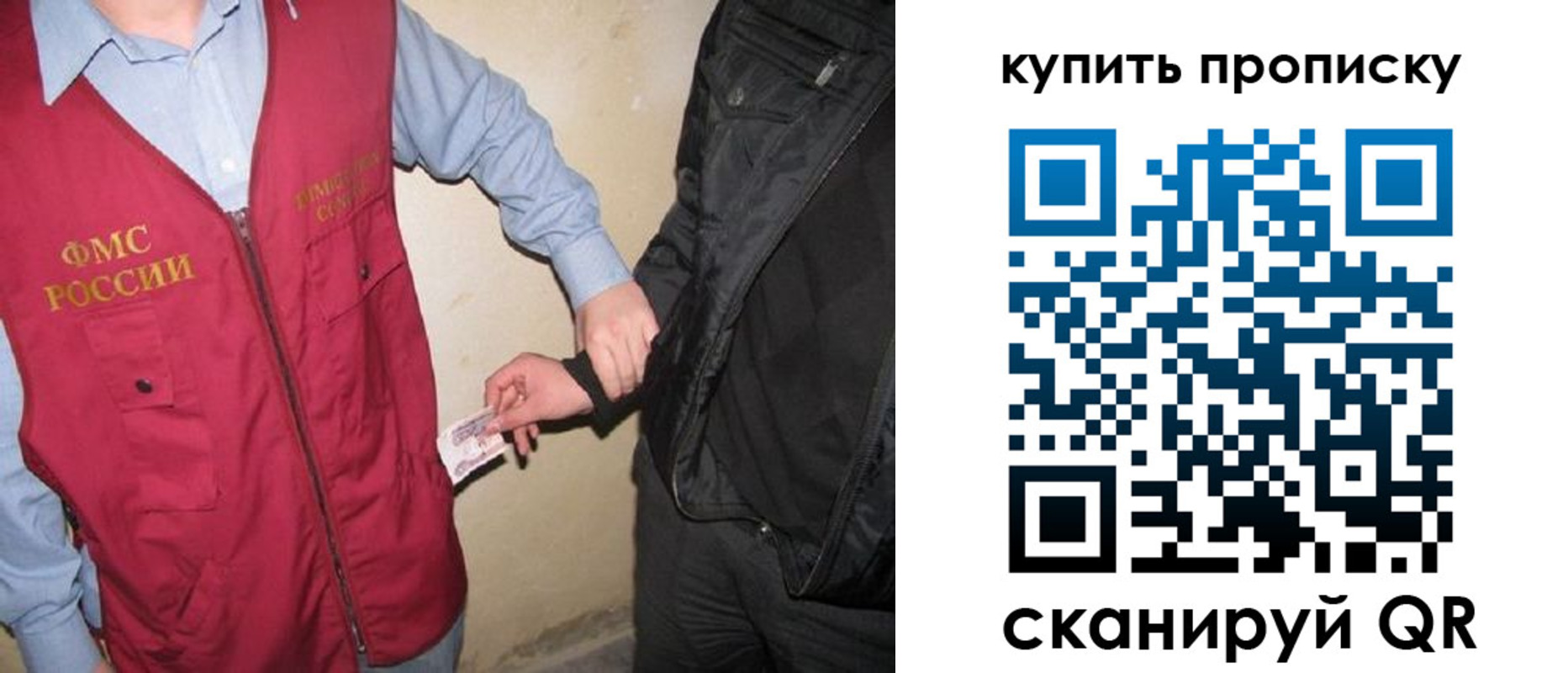 регистрация для школы в Елизово